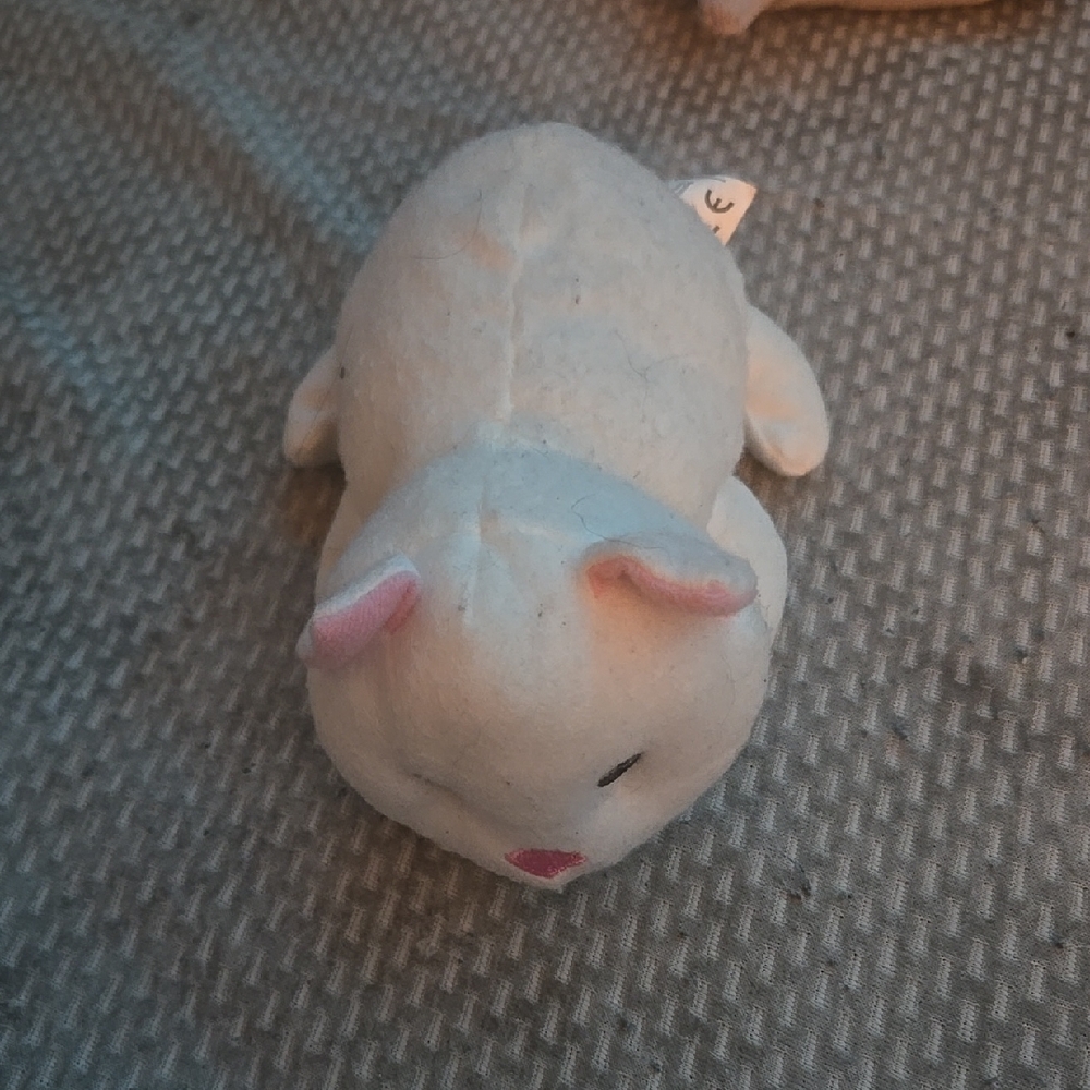 Cute Plush White cat stuffed animal